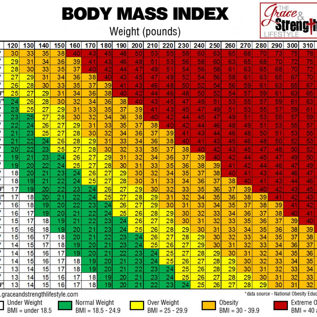 Grace and strength lifestyle body mass index chart bmi Glostone Trucking Solutions