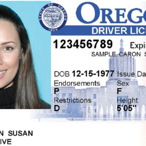 free oregon drivers license reverse side template